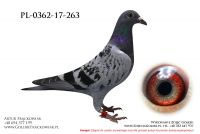 PL-0362-17-263