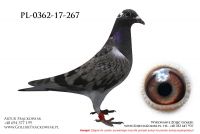 PL-0362-17-267