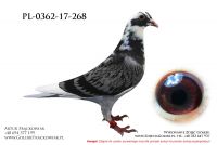 PL-0362-17-268