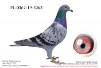 PL-0362-19-3263