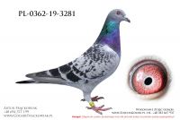 PL-0362-19-3281