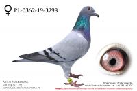 PL-0362-19-3298 - samiczka