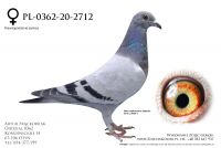 PL-0362-20-2712 - linia Van Loon