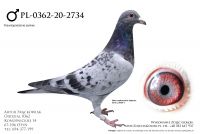 PL-0362-20-2734 - linia Lowieke i Sagana