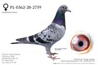 PL-0362-20-2759 - linia Lowieke i Sagana