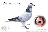 PL-0362-20-2928 - z linia Super Dohmen