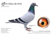 PL-0362-20-2931 - Rondags, Huls, Vandenabeele