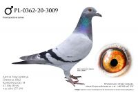 PL-0362-20-3009 - pradziadek wylatał 11x1k