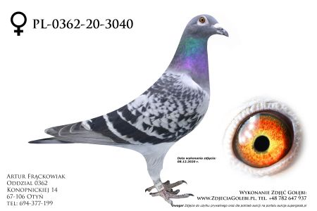 PL-0362-20-3040 - linia Super Lotników