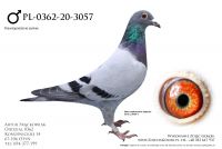 PL-0362-20-3057 - linia świetnych lotników na WG