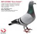 PL-0362-20-3088 - Marcel Wouters x Johan Donkers linia 972 - 11x1 konk