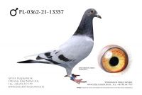 PL-0362-21-13357 - Linia AD (złoto olimpijskie Nitra)