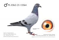 PL-0362-21-13364 - Linia Ad Schaerlaeckens