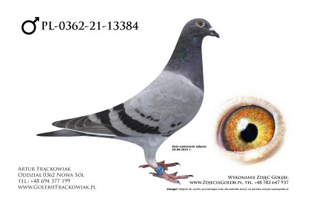 PL-0362-21-13384 - Inbred Super Ciemny