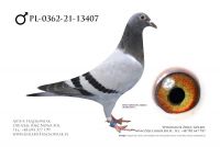 PL-0362-21-13407 - Abraham x Johan Donckers Top