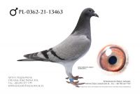 PL-0362-21-13463 - Ad Schaerlaeckens x Kurt Gensheimer