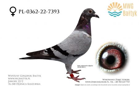 PL-0362-22-7393: Stasiak/Frąckowiak, m.in. 23m. z FINAŁU