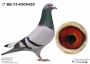 PL-0362-22-7670 Marcel Wouters x Timo Wagner