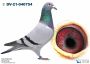 PL-0362-22-7670 Marcel Wouters x Timo Wagner