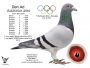 PL-0362-22-7836 Marcel Wouters x Top 760 !!!