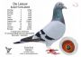 PL-0362-22-7836 Marcel Wouters x Top 760 !!!
