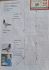 PL_0362-22-9686 samica