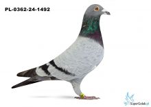 PL-0362-24-1492 - Artur Frąckowiak : 2 AS OPEN!!!  4 - AS Daleki Dystans