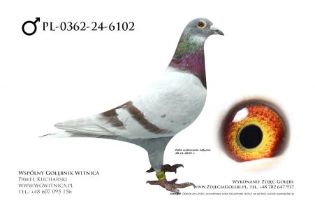 PL-0362-24-6102: Erwin Solski, m in 14m, 24m, 35m, 36m, 16m z FINAŁU