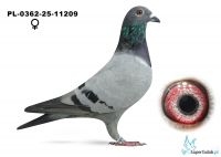 PL-0362-25-11209  Agnieszka Frąckowiak - 28 z finału 