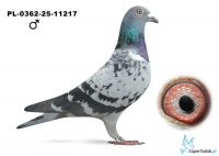 PL-0362-25-11217 Frąckowiak Artur