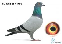 PL.0362-25-11496