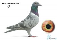 PL-0362-25-6396