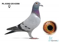 PL-0362-25-6398