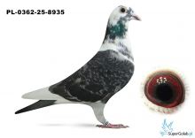 PL-0362-25-8935 Gmina Nowa Sól - 21 lotnik WG