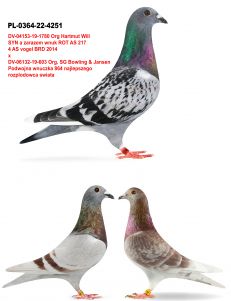 PL-0364-22-4251 Wnuk Rot AS 217 Hartmut Will