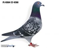 PL-0364-22-4260-Eijerkamp -De Bruijne