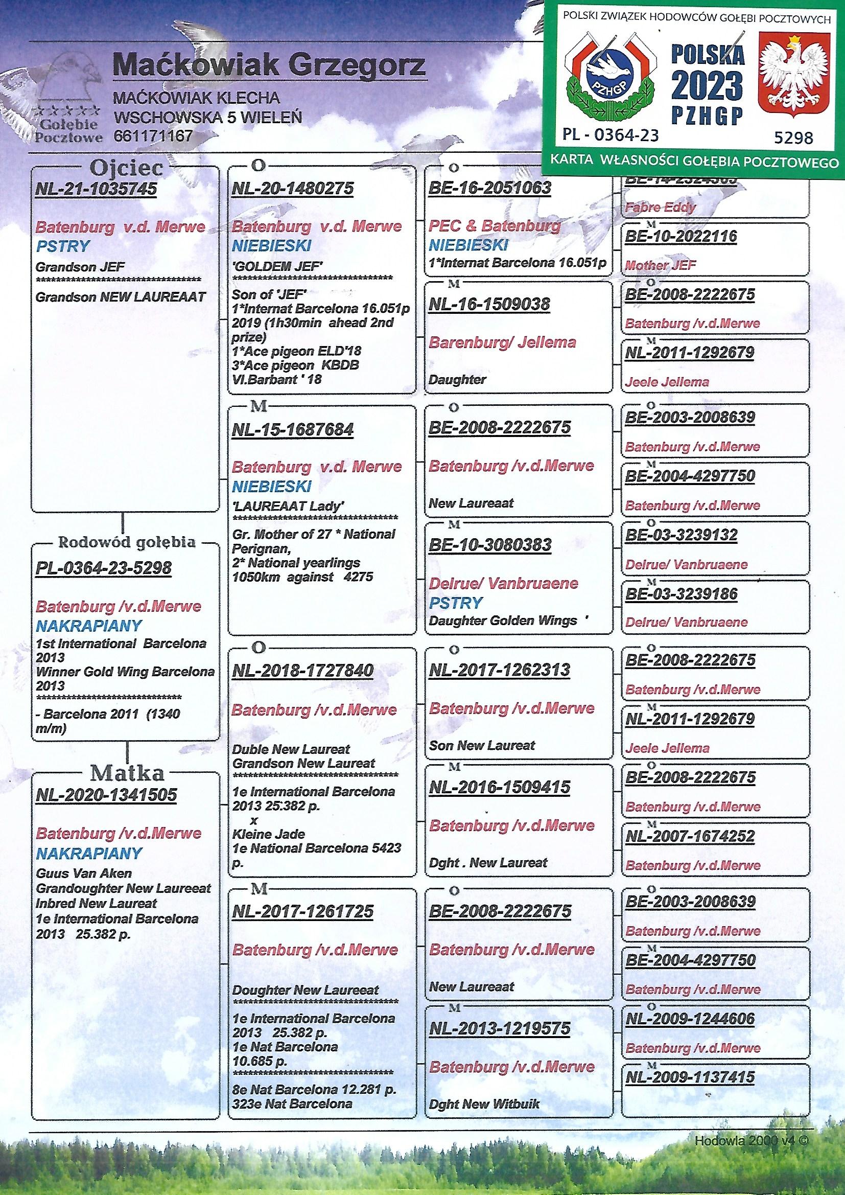 送料込み Nenad Markovic - Kayto PL-0364-23-5298 Linia Jef-New Lureat Batenburg