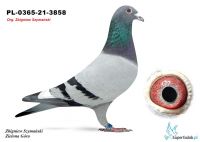 PL-0365-21 3858