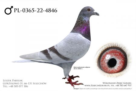 PL-0365-22-4846 - LIKWIDACJA HODOWLI