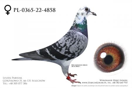 PL-0365-22-4858 - LIKWIDACJA HODOWLI