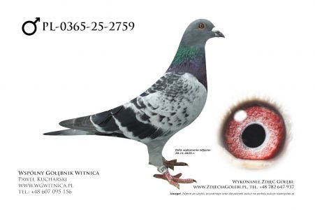 PL-0365-25-2759: Zbigniew Szymanski