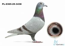 PL-0365-25-3438