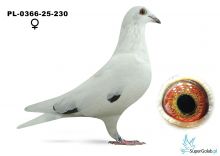 PL-0366-25-230  Dziedzic-Sobczak