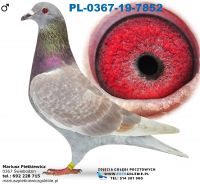 Pl-0367-19-7852-Daleki dystans