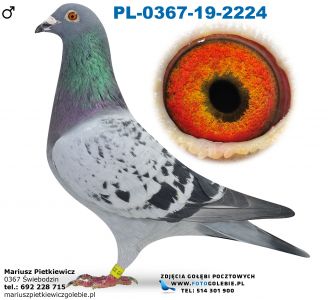 Pl-0367-19r.-2224-100% R. Hermes-daleki dystans