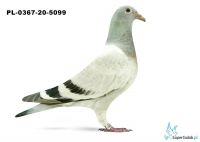 PL-0367-20-5099