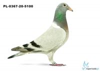 PL-0367-20-5100