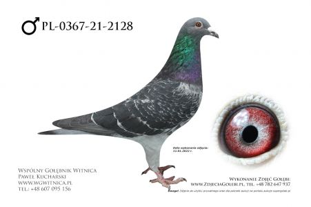 PL-0367-21-2128: Leśniewski Jacek, 27. Lotnik, m.in. 14m. z FINAŁU