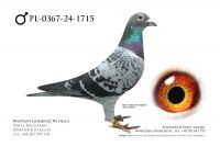 PL-0367-24-1715: Grzegorz Orczyk, 3 AS DOROSŁE CUP 2025, m in 8m, 5m, 24m, 26m, 21m, 6m z FINAŁU