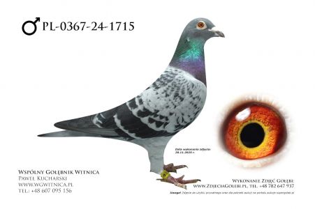 PL-0367-24-1715: Grzegorz Orczyk, 3 AS DOROSŁE CUP 2025, m in 8m, 5m, 24m, 26m, 21m, 6m z FINAŁU